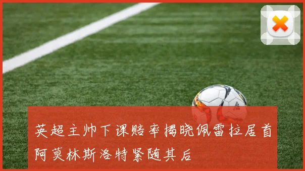 英超主帅下课赔率揭晓佩雷拉居首阿莫林斯洛特紧随其后