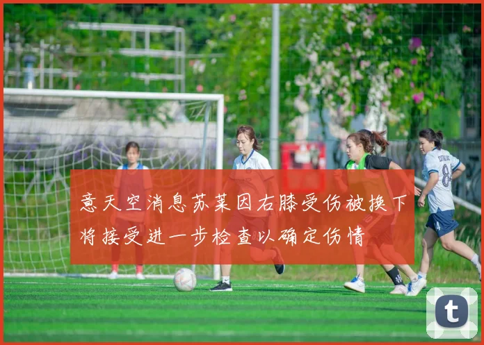 意天空消息苏莱因右膝受伤被换下将接受进一步检查以确定伤情